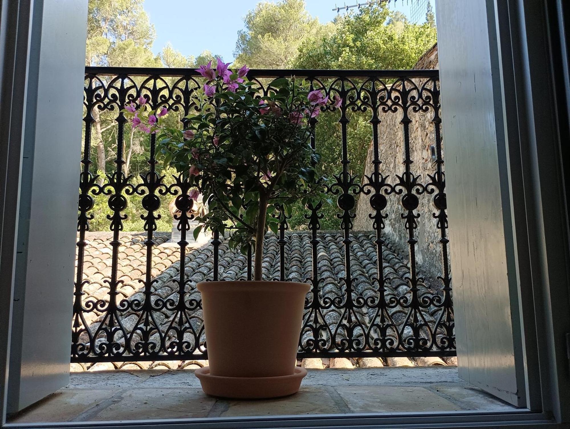 La Maison De La Traverse Saint-Guilhem-le-Desert Ngoại thất bức ảnh