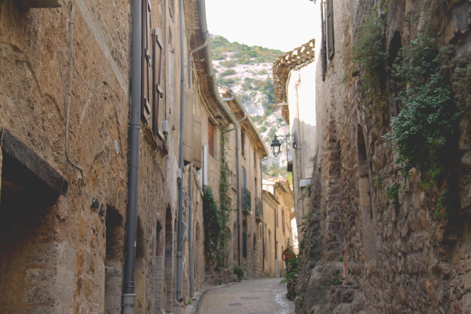 La Maison De La Traverse Saint-Guilhem-le-Desert Ngoại thất bức ảnh